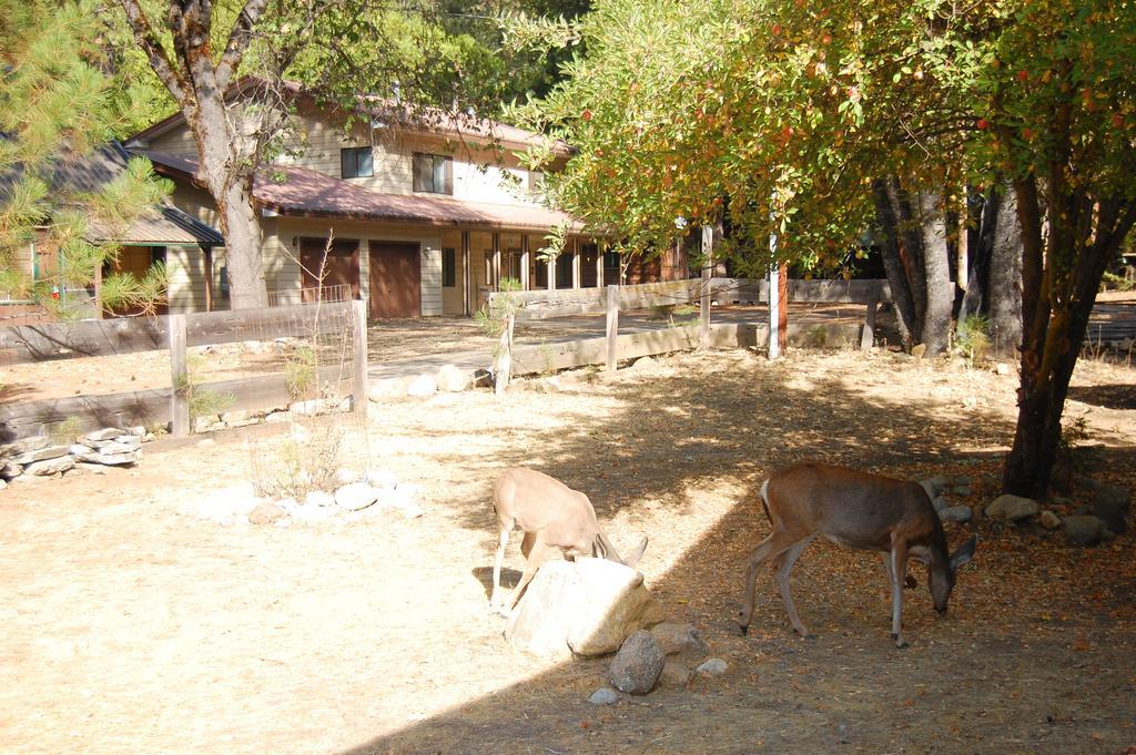 9N Fox Hollow Вавона Экстерьер фото